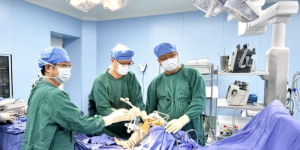 机器手、手术机器人、AI玩具：北京科创成果加速走进现实