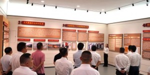 平安产险金华中心支公司党支部赴武义县后陈村开展主题党日活动