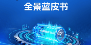 《2026中国锂电产业全景蓝皮书》正式发布（可免费下载）！